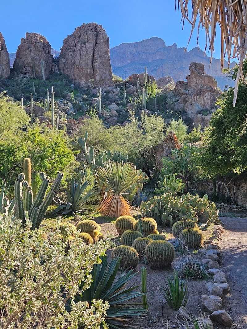 Over 3,200 Plant Species From Deserts Around the World