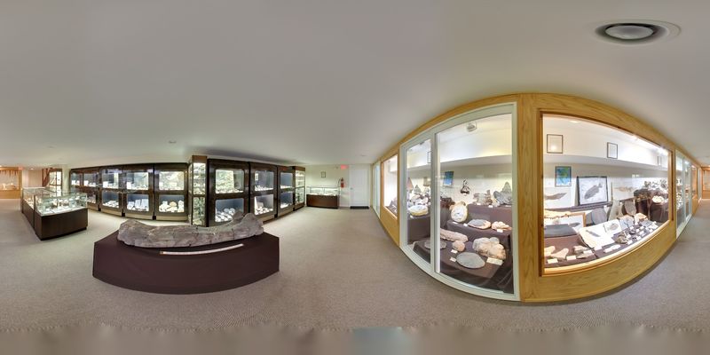 The Underground Dinosaur Museum Nobody Expects