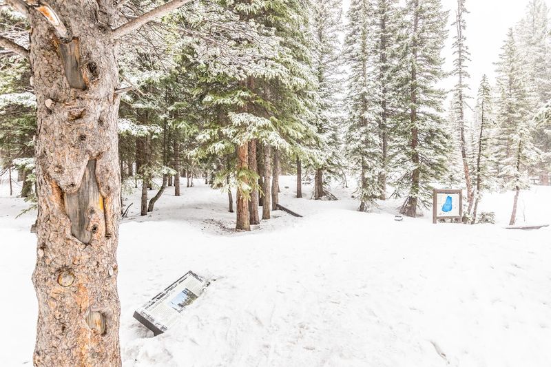 30 Interpretive Markers That Teach as You Walk