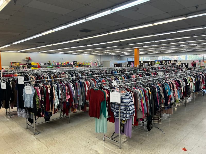 Prices So Low They Almost Feel Like a Mistake