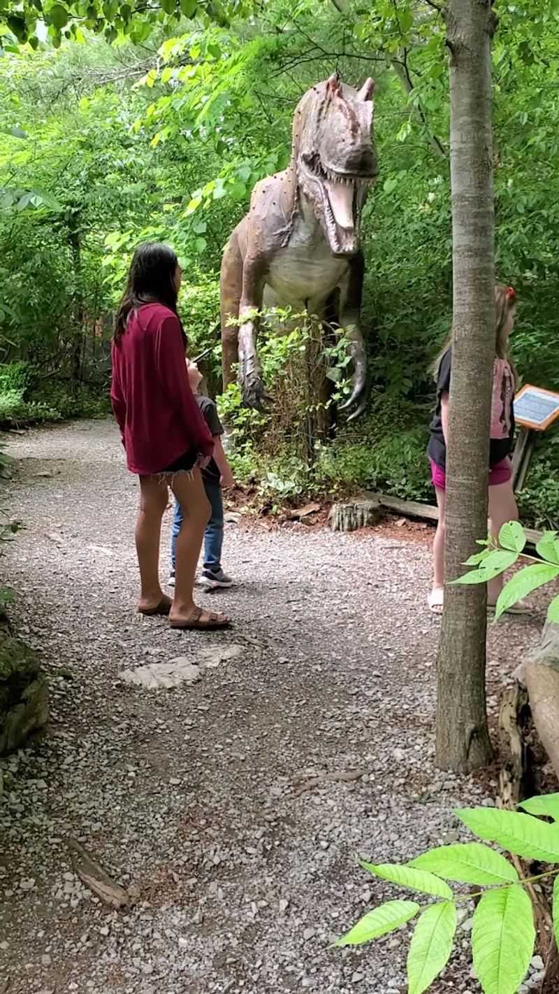 A Nature Trail Hike Through Prehistoric History