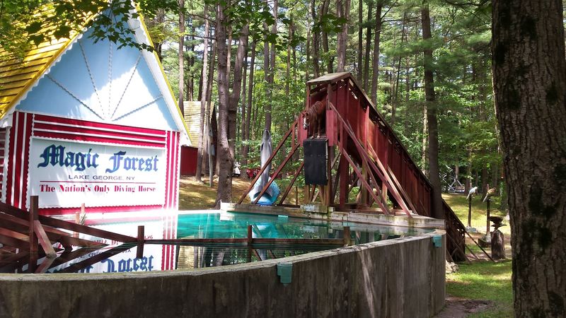 A Nostalgic Gem With Roots as the Beloved Magic Forest