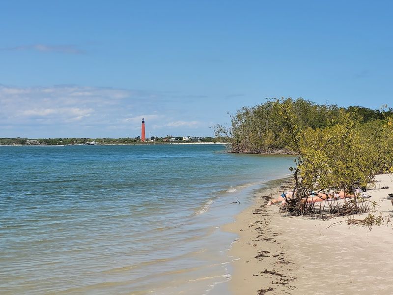 Canaveral National Seashore Right Next Door