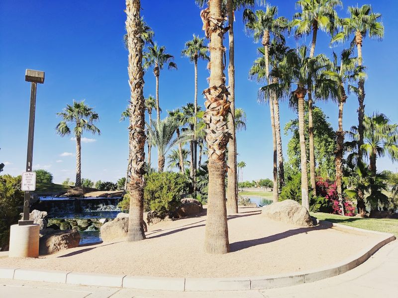 A Park That Earns Its 4.7-Star Rating Every Single Visit