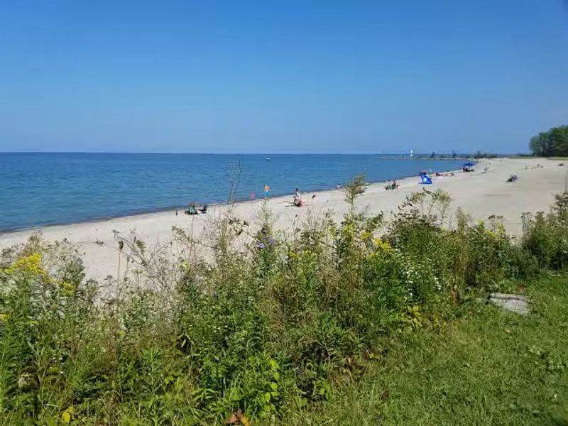 Fun Swing Over the Lake and Volleyball Net on the Sand