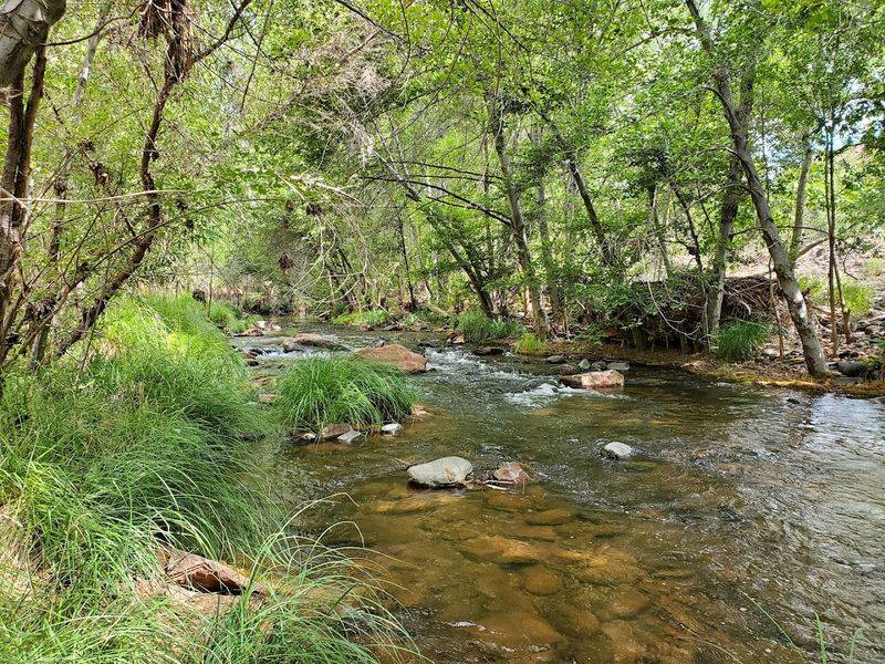 The Apache Fire Trail and Javalina Trail: Fan Favorites