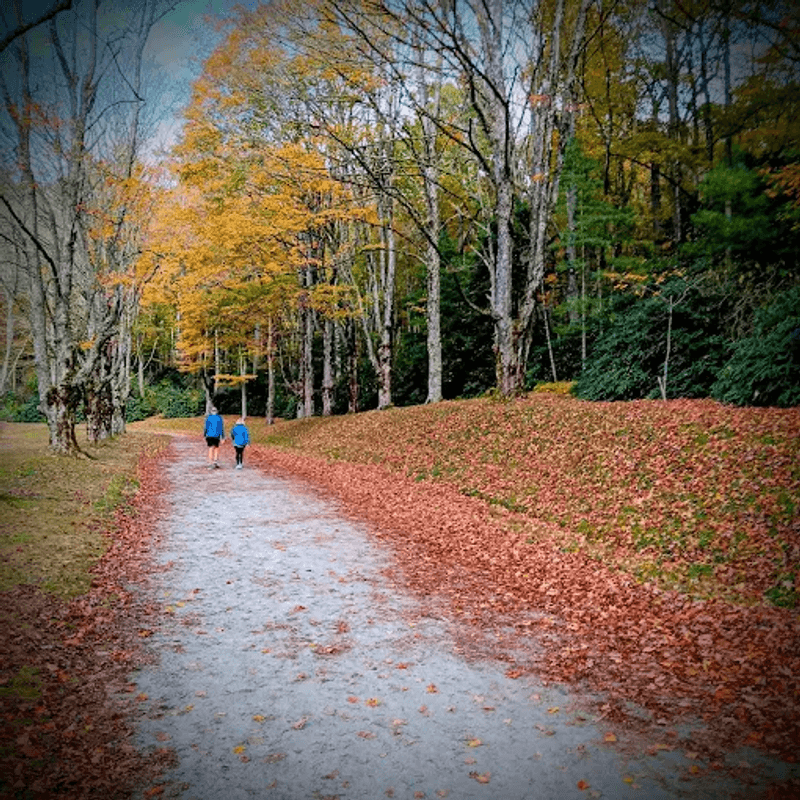 A Family-Friendly Walk With Room to Wander