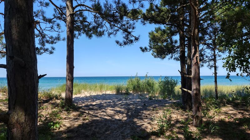 Nearby Hiking Trails That Add Adventure to Your Beach Day