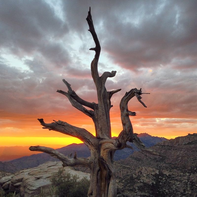 Photography Opportunities That Rival Professional Studio Backdrops