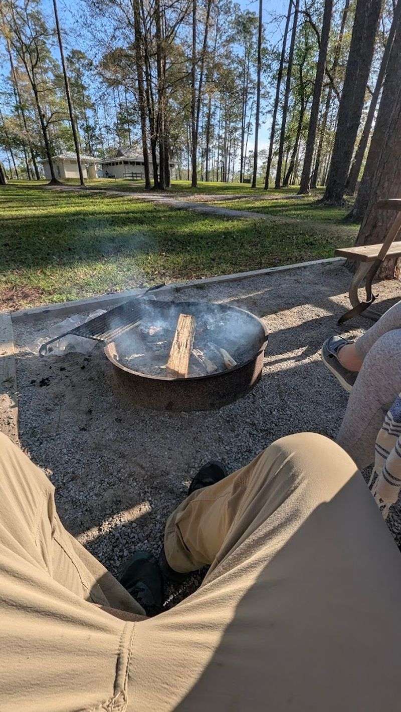 Camping Under the Trees at the Campground