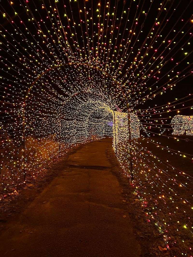 The Magical Holiday Light Show