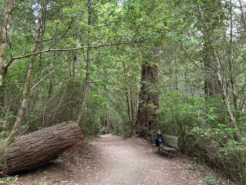 Picnic Tables and Open Areas for Lingering After the Hike