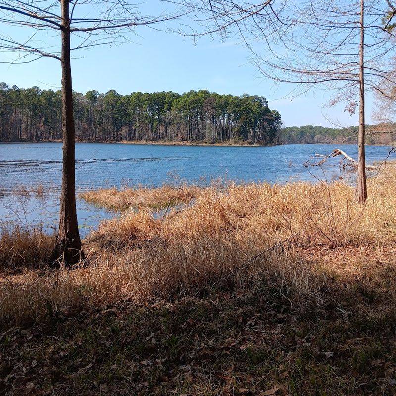 A hidden Texas state park filled with trails, trees, and hardly any crowds 12 Peaceful Picnic Spots With Stunning Views