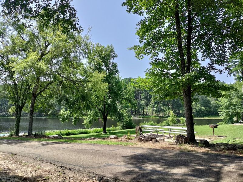 Picnicking, Relaxing, and Simply Doing Nothing