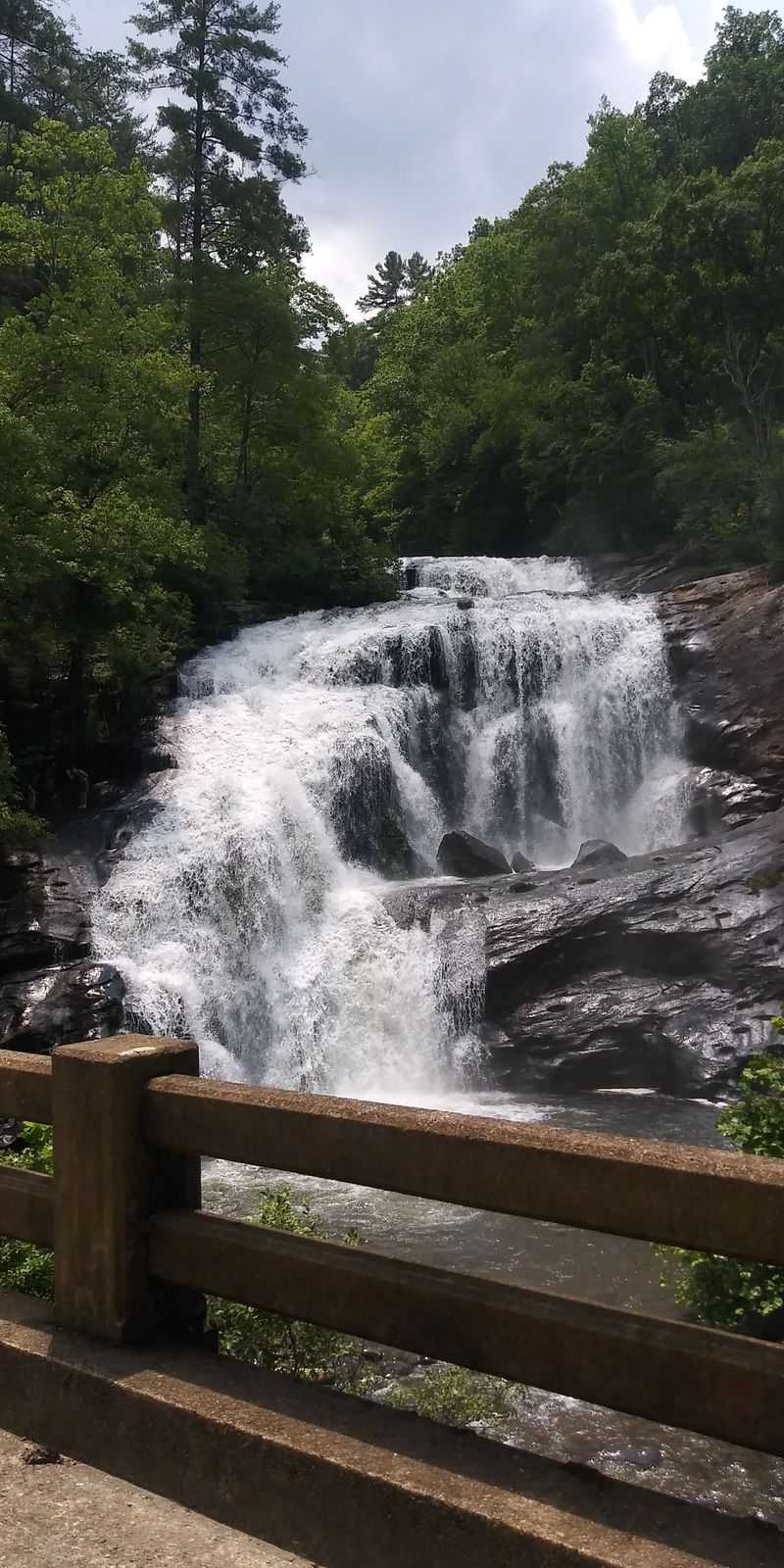 Cherokee National Forest Right at Your Doorstep