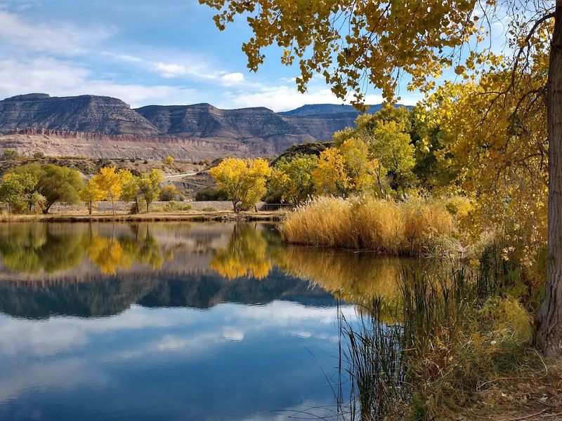 Seasonal Color in the Valley