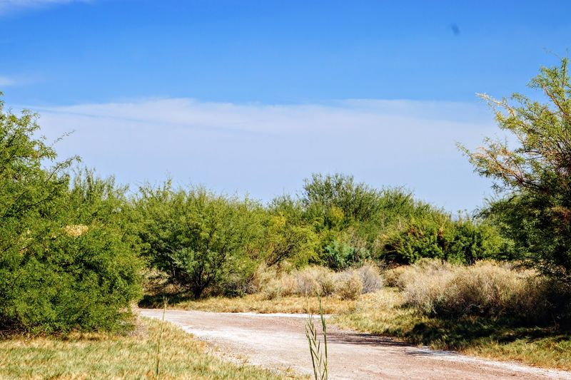 Easy Paved Trails Perfect for All Ages