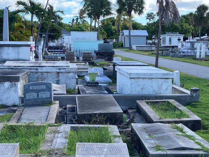 A Surprisingly Active and Living Space