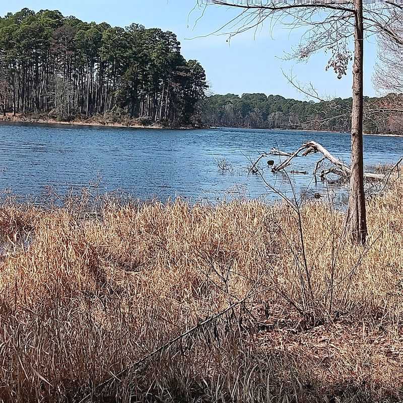 A hidden Texas state park filled with trails, trees, and hardly any crowds 9 Wildlife Watching Around Every Corner