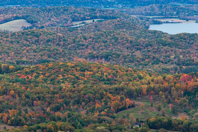 Mild Four-Season Climate Perfect for Year-Round Enjoyment