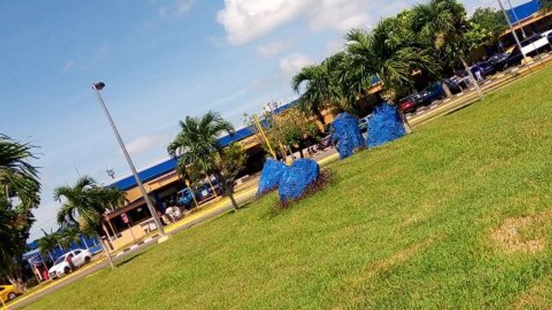 Golf Year-Round in the Desert Sun