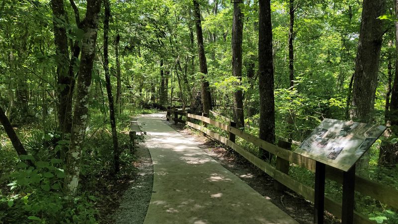 This hidden Florida sinkhole park feels so unexpected it almost passes for something out of another state 6 The Half-Mile Rim Trail Around the Sinkhole
