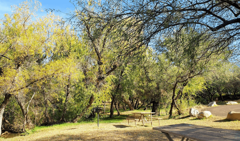 Picnic Areas With Scenic Lake Access