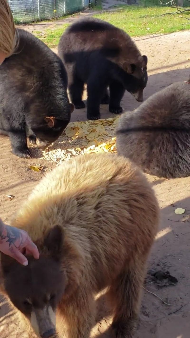 The Oswald Family's Passion Makes All the Difference