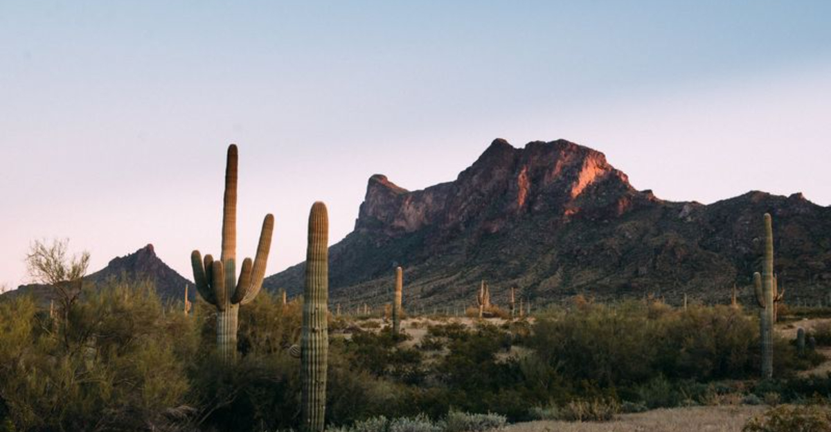 A beautiful Arizona state park that looks straight out of a postcard