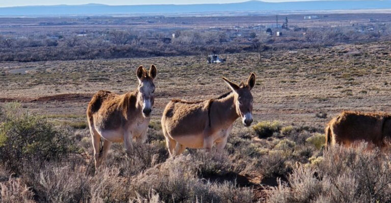 A beautiful Arizona state park that remains quiet and uncrowded