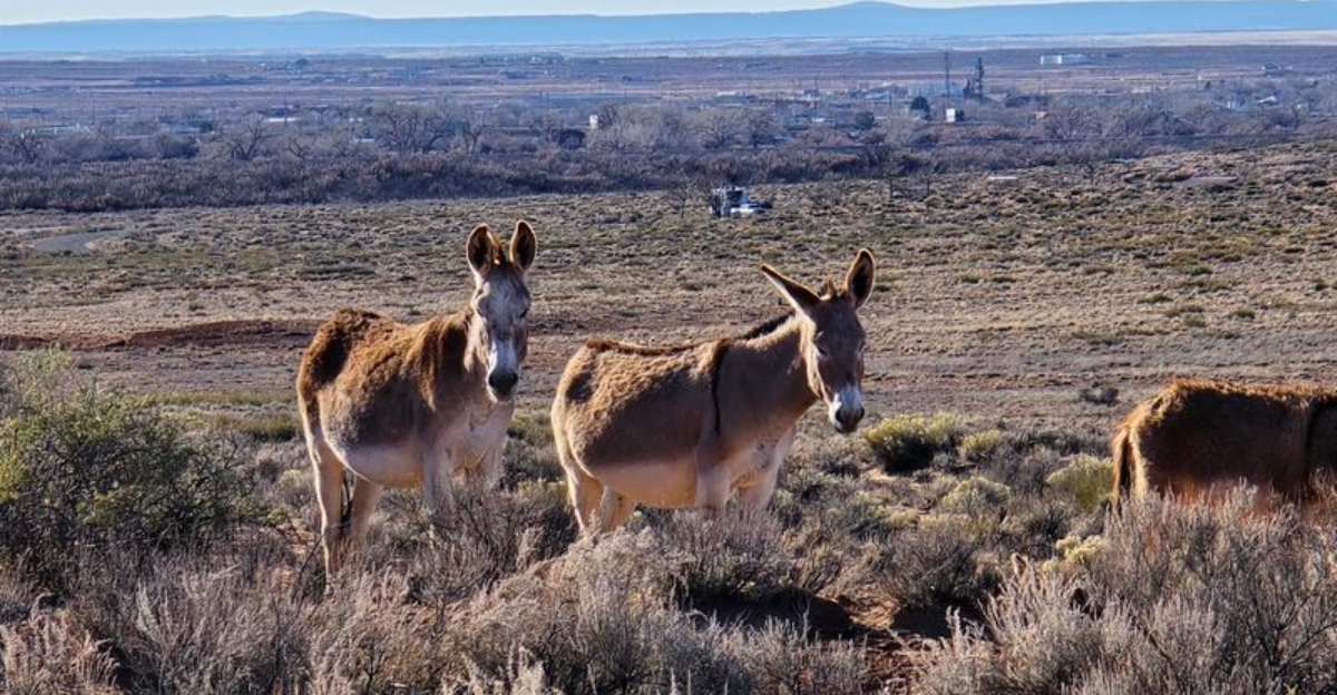 A beautiful Arizona state park that remains quiet and uncrowded