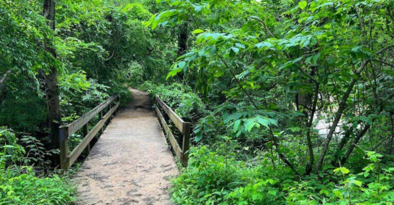 A beautiful Georgia state park that helps you relax and unwind