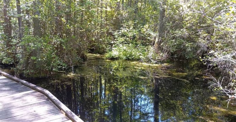 A beautiful South Carolina state park ideal for getting away from it all