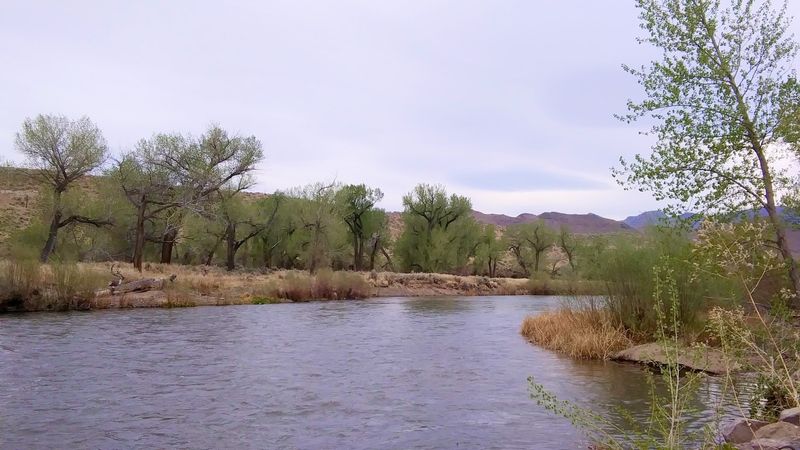 Fernley Wildlife Management Area