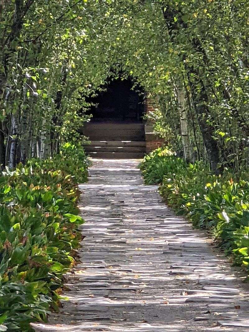 The Tree Tunnel That Feels Like a Secret Passage