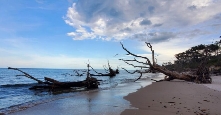 A breathtaking Florida beach that feels almost unreal