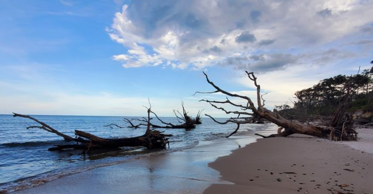 A breathtaking Florida beach that feels almost unreal