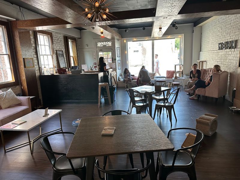 What Exactly Is Pounce Cat Cafe + Wine Bar