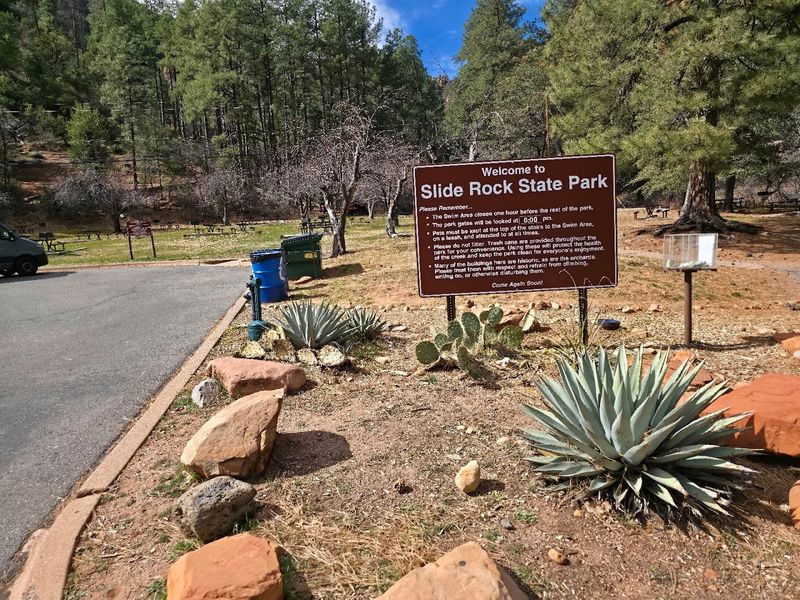 What to know about fees and access