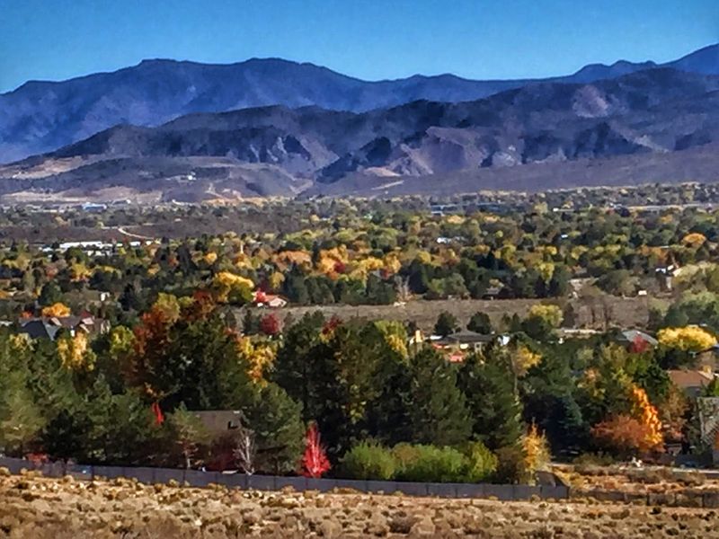 Seasonal variety with high desert character