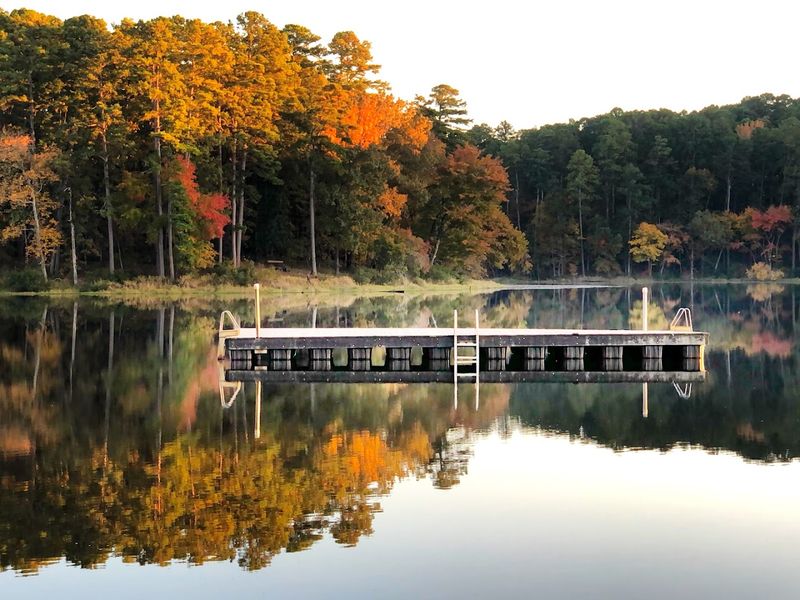The Breathtaking Lake at the Heart of the Park