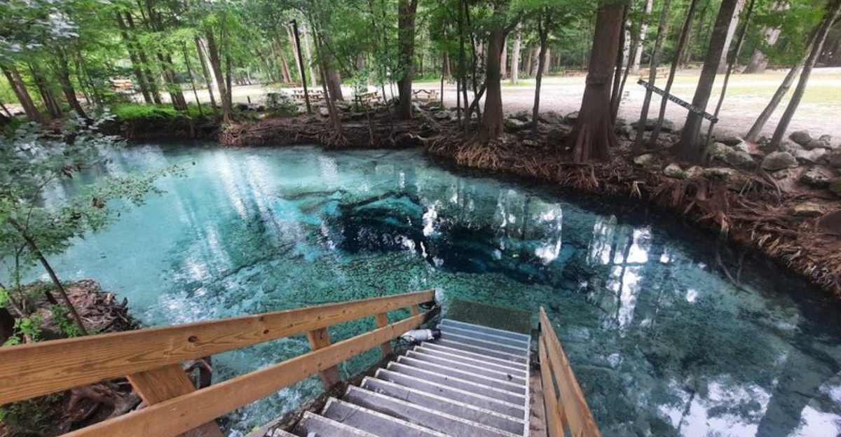 A lazy river tubing experience in Florida that feels incredibly relaxing