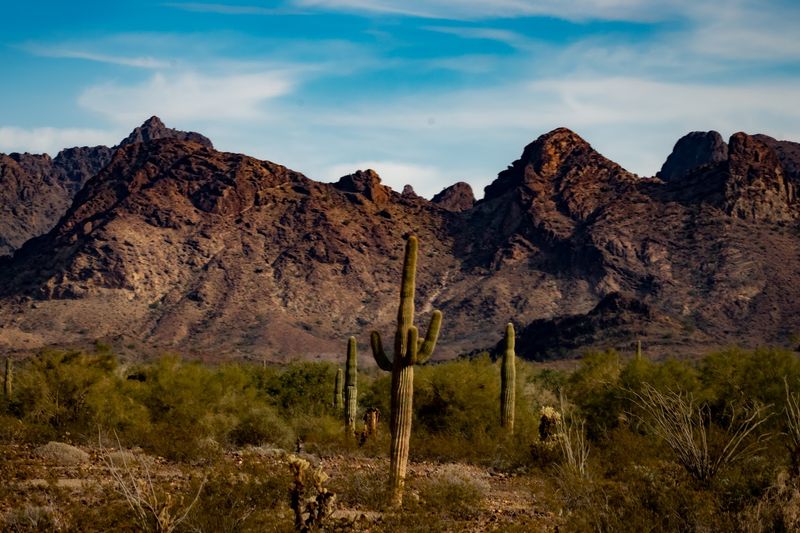 Sunshine Almost Every Single Day