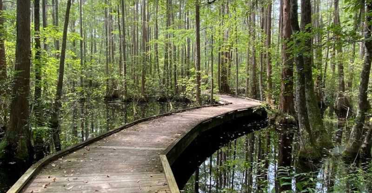 A peaceful South Carolina state park that most people don’t know about
