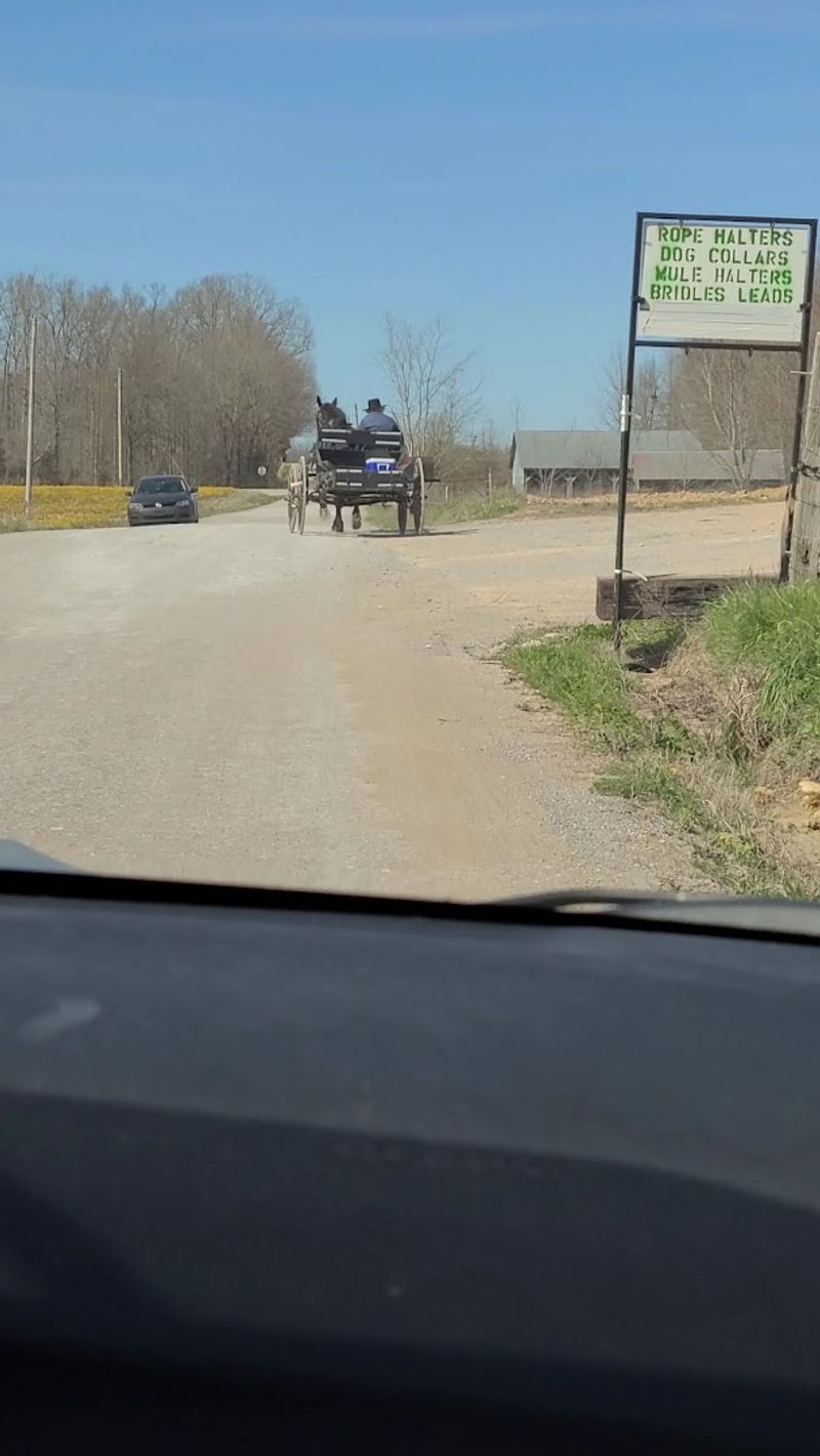 Getting to Ethridge on a Budget