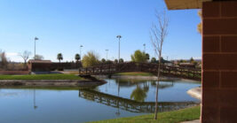 A quiet Nevada town focused on easy living and a stress-free lifestyle