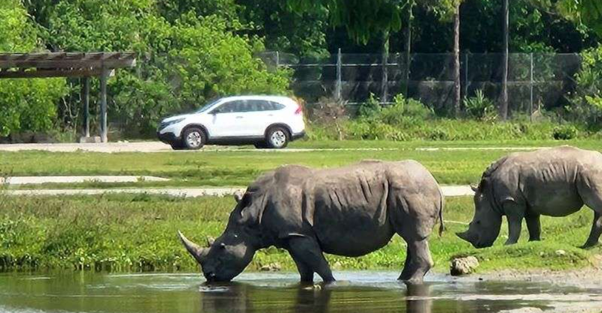 A scenic 20 mile train ride in Arizona you can enjoy any time of year
