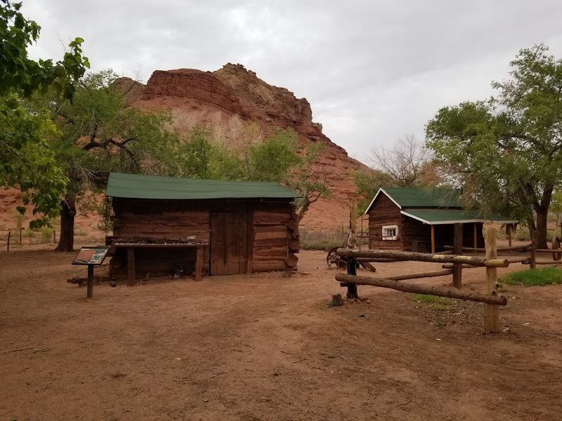 The Fascinating History of John D. Lee