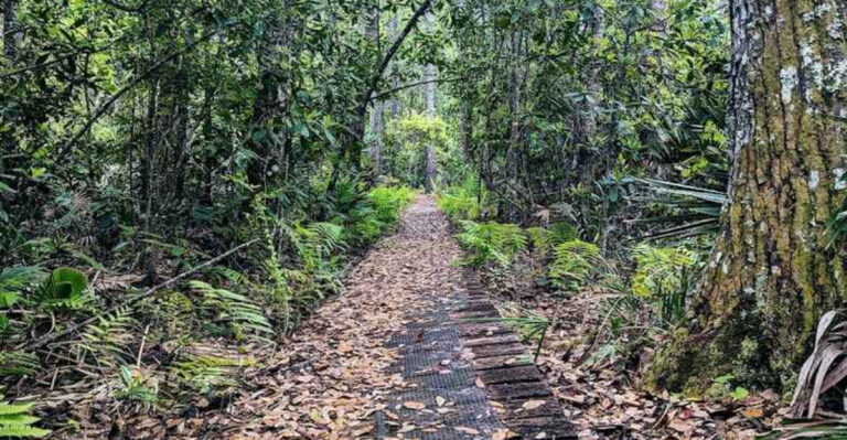 A secret trail in Florida that leads to an old ghost town