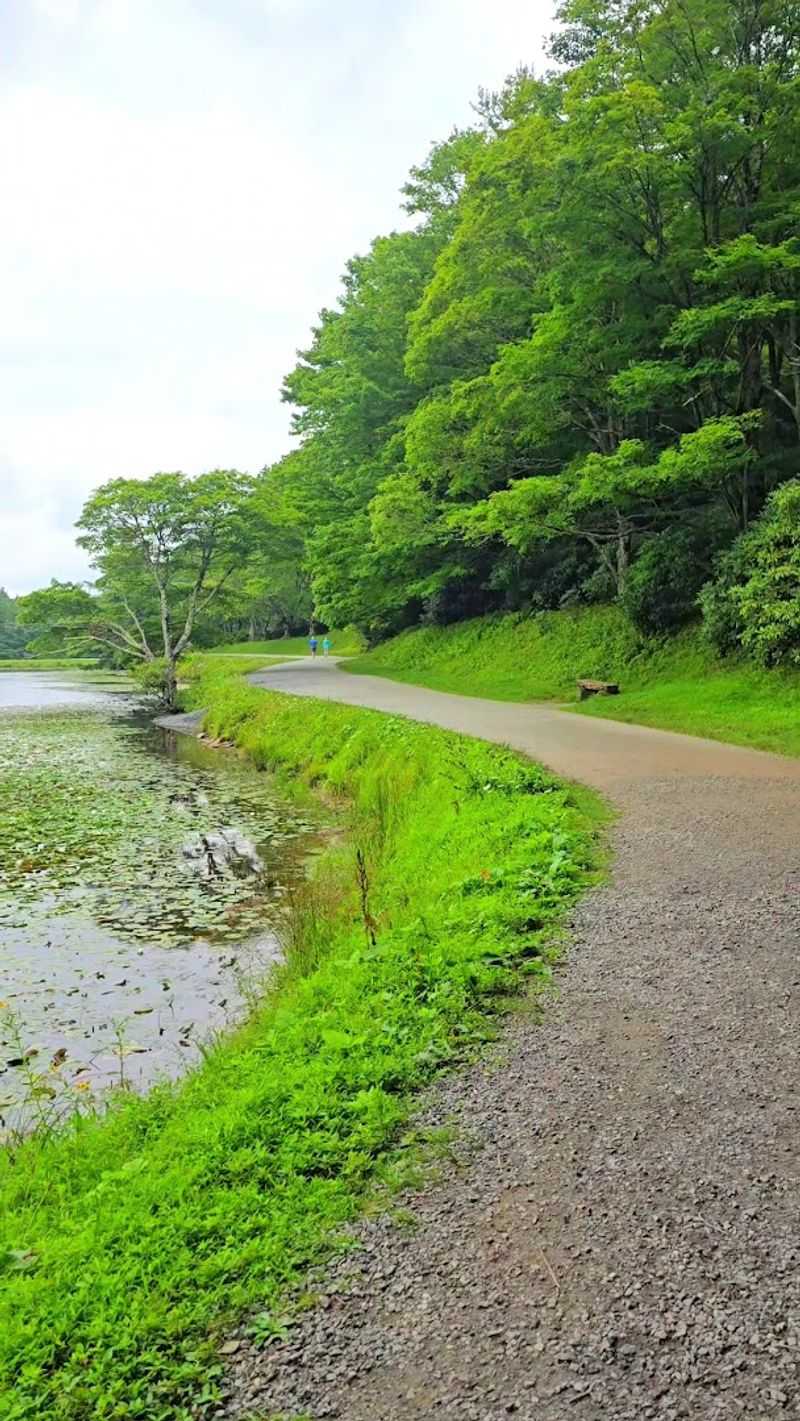 The Easy One-Mile Loop Around Bass Lake
